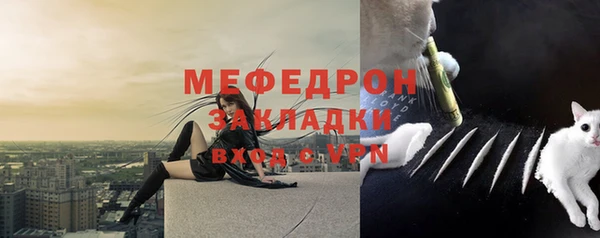 ешки Бородино