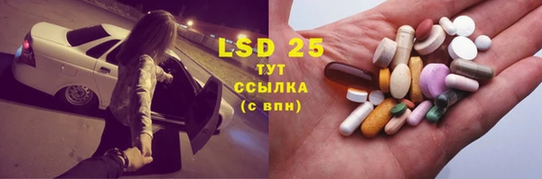 ешки Бородино