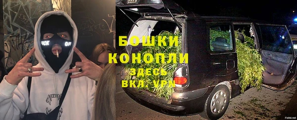ешки Бородино