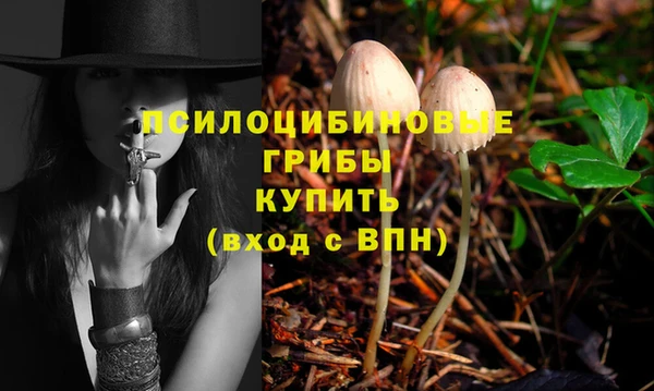 ешки Бородино