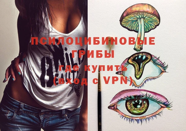 ешки Бородино