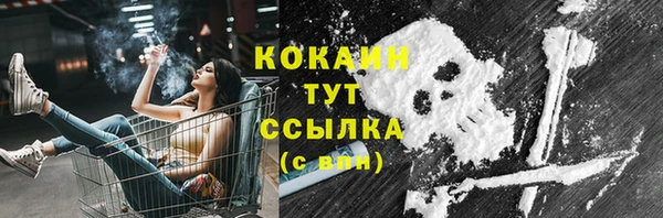 ешки Бородино