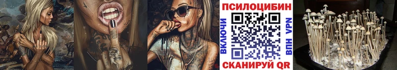 Псилоцибиновые грибы прущие грибы  продажа наркотиков  Ялуторовск 